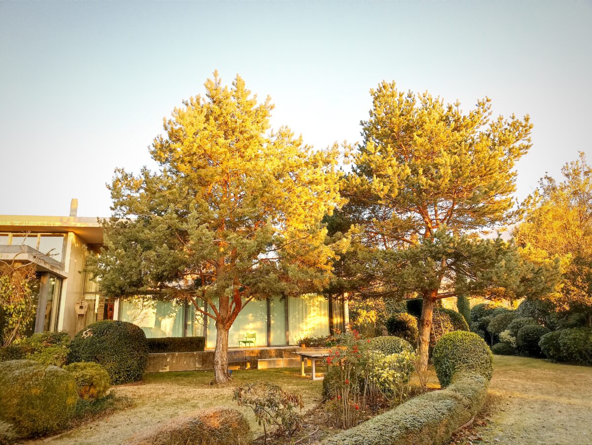 Saint Didier Au Mont d'Or